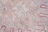 Vintage Oushak Area Rug (5' x 8')